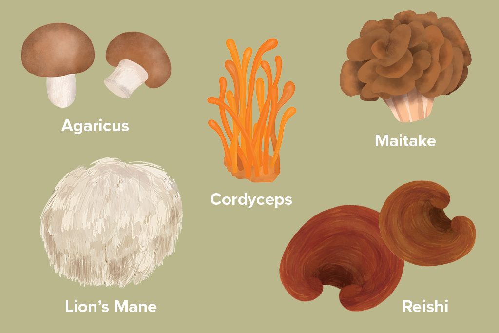 5 Functional Mushrooms We Love—and Why Sunfood