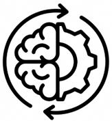 Cognition & Function