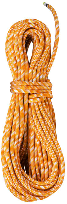 Pumpkin|Citrouille
