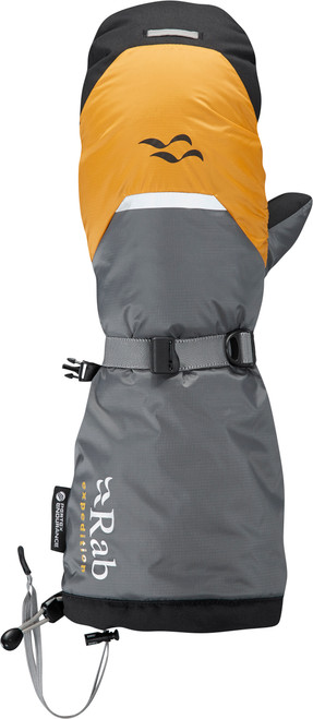Gold GO/Shark|Go doré/Requin