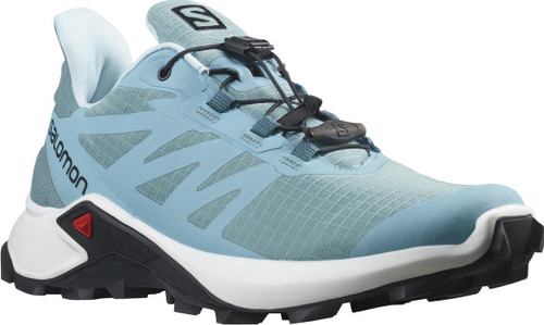 Delphinium Blue/White/Blu|Delphinium/Blanc/bleue