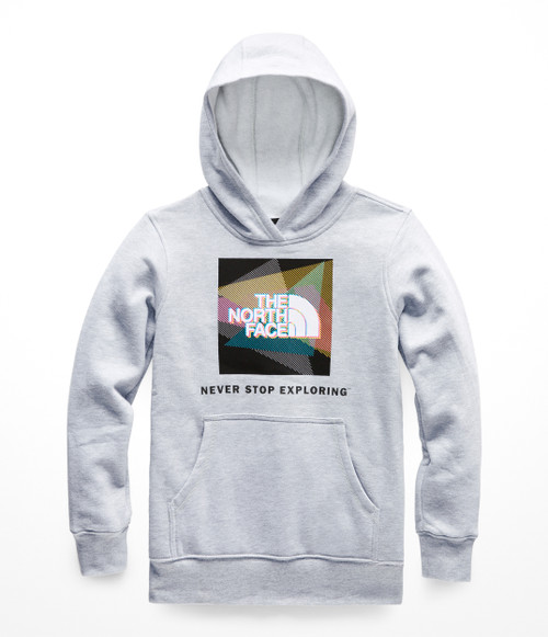 5063-985 The North Face Logowear Pullover Hoodie - Boys' - Youths