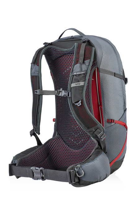 6005-816 Gregory Citro 30 Daypack - Unisex