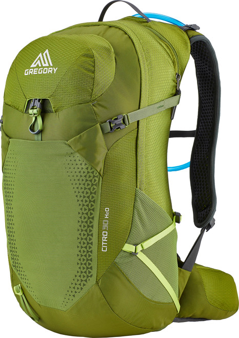 Mantis Green|Mante religieuse verte