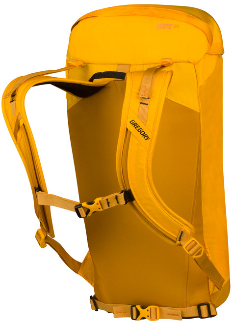 5037-334 Gregory Verte 25 Backpack - Unisex