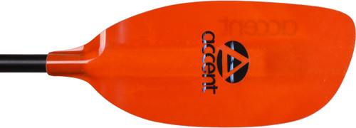 5053-045 Accent Rogue Premier Paddle