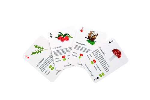 6005-372 Kikkerland Foragers Playing Cards
