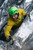 6002-533 Rab Muztag Gore-Tex Jacket - Men's