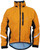 Goldenrod|Verge d'or