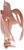 5056-478 Portland Design Works Sparrow Cage