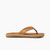 5063-625 Reef Voyage LE Flips - Men's