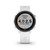 6005-021 Garmin Forerunner 245 Music