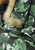 6014-621 Reima Niisi Reimatec Winter Jacket - Boys' - Children to Youths