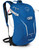 Blue Racer|Coureur bleu