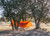 5058-255 Kammok Kuhli Hammock Tarp