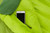 6013-535 Sea To Summit Ascent AcII -10C Down Sleeping Bag - Unisex