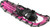 Fuschia|Fuchsia