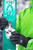 5049-855 4FRNT Renegade Skis - Men's