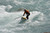 6009-433 Airboard Stream LE 10.6 Inflatable SUP
