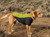 5053-013 Ruffwear Cloud Chaser Soft Shell Jacket