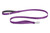 Tillandsia Purple|Violet tillandsias