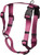 Plum|Prune