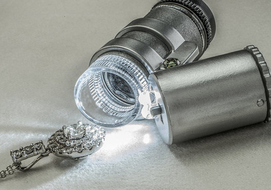 16x Illuminated LED Microscope with Adjustable Focus