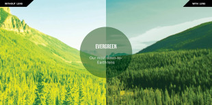 Fit: M
Frame Color: Crystal
Lens Color: Evergreen