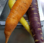 Carrots Mixed (1-lb)