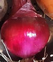 Onions Red (1 lb)