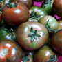 Heirloom Tomato Group