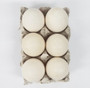 Turkey Eggs (1/2 Dozen)