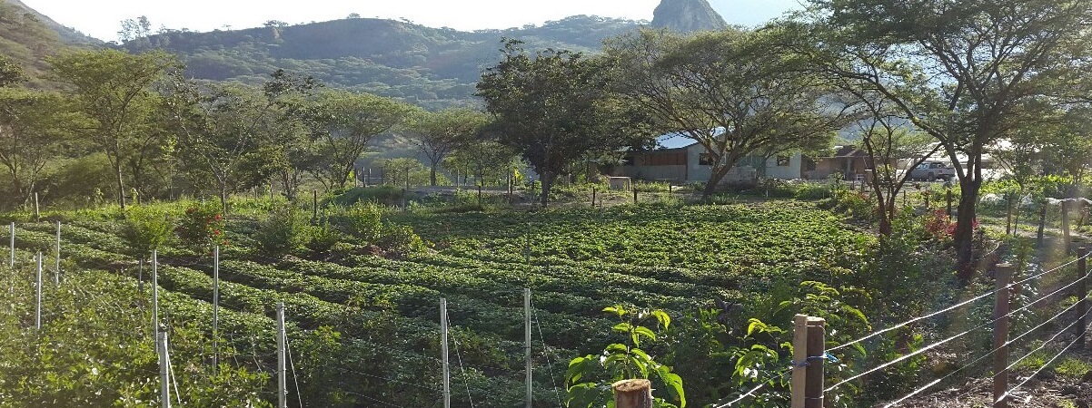 Our signature fixture that bends to your will