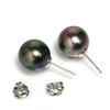 Tahitian Pearl Stud Earrings 11 MM Peacock AAA