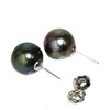 Tahitian Pearl Stud Earrings 11 MM Peacock AAA