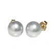 Akoya Pearl Stud Earrings Sizes between 5.0mm  to 7.5mm Silver Blue