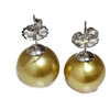 South Sea Pearl Stud Earrings 13.5 MM  Golden AAA-