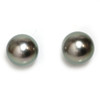 Tahitian Pearl Stud Earrings 11 MM Green AAA