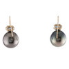 Tahitian Pearl & Sapphire Earrings