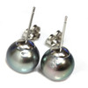 Tahitian Pearl Stud Earrings 10 MM Turquoise  AAA