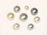 Akoya Pearls