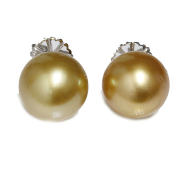 South Sea Pearl Stud Earrings 13.5 MM  Golden AAA-