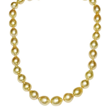 South Sea Pearl Necklace 12.5 - 9 MM Golden AAA-