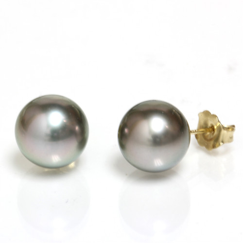 Tahitian Pearl Stud Earrings 10 MM Gray copper  AAA Flawless