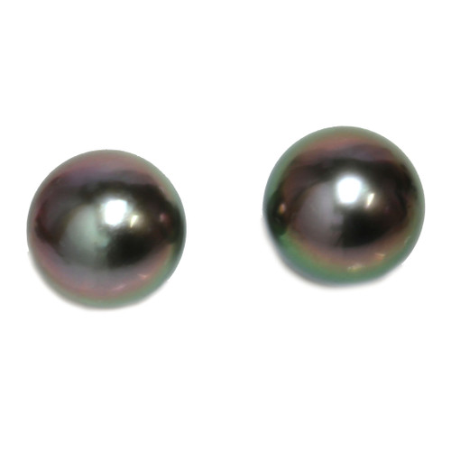 Tahitian Pearl Stud Earrings 11 MM Peacock AAA