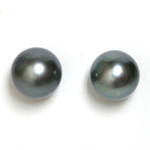 Tahitian Pearl Stud Earrings 10 MM AAA Flawless