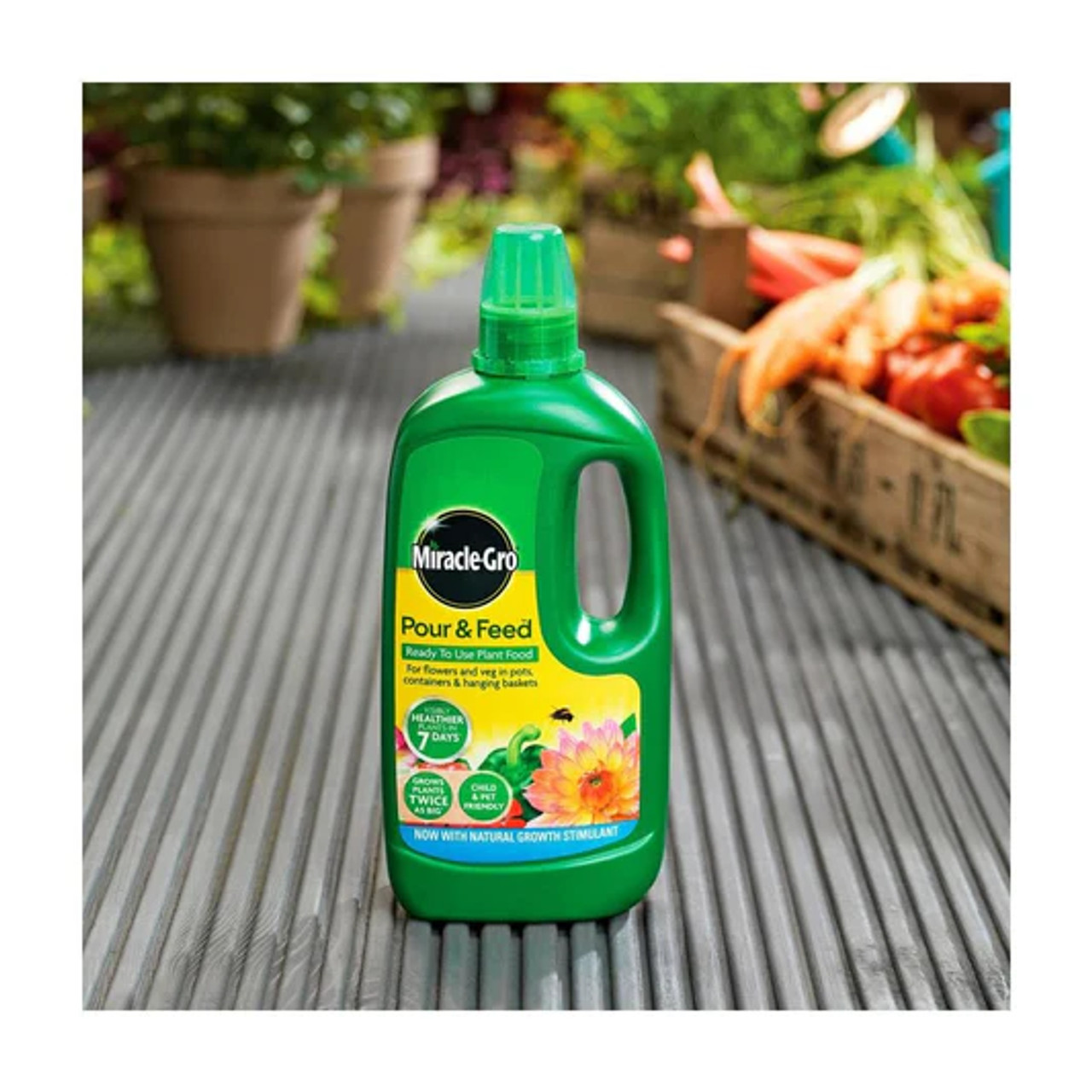 Miracle Gro Pour & Feed 1L