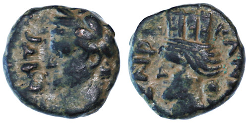 Canatha of the Decapolis, Domitian AE Canatha of the Decapolis, Domitian AE