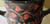 Similar to Bar Kochba Similar to Bar Kochba