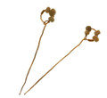 Pair of Ancient Roman Gold Pins